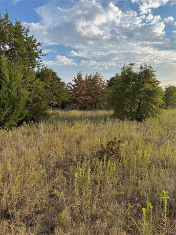 TBD New Hope Road, Boyd, TX 76023