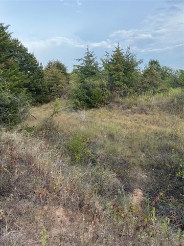 TBD New Hope Road, Boyd, TX 76023