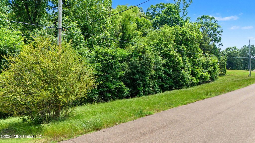105 E Crockett Loop, Hernando, MS 38632 — photo 2