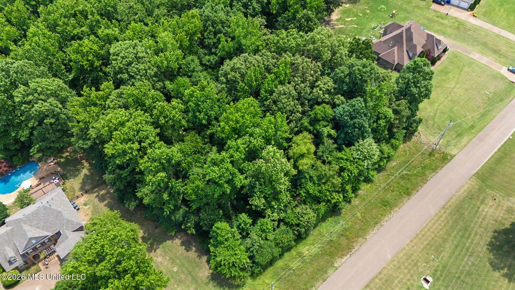 105 E Crockett Loop, Hernando, MS 38632 — photo 4