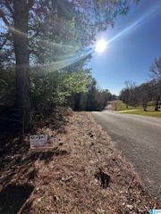 0 MOHAWK BLUFF DRIVE, Ohatchee, AL 36271