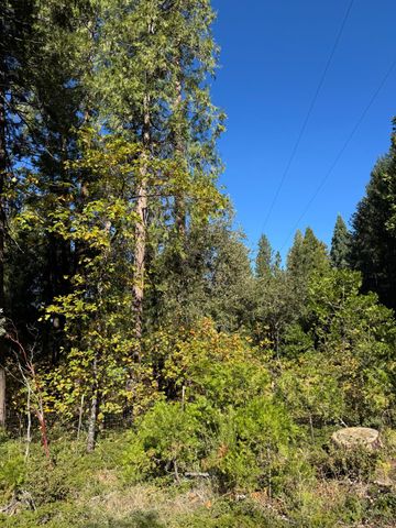 15855 Sunny Dr, Pioneer, CA 95666