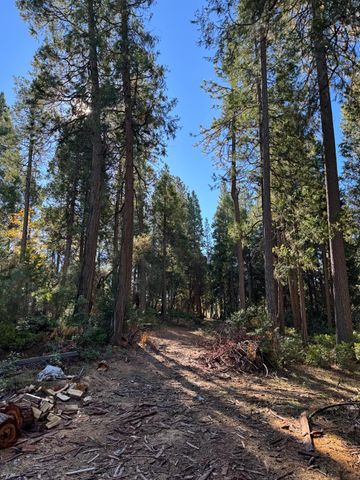 15855 Sunny Dr, Pioneer, CA 95666