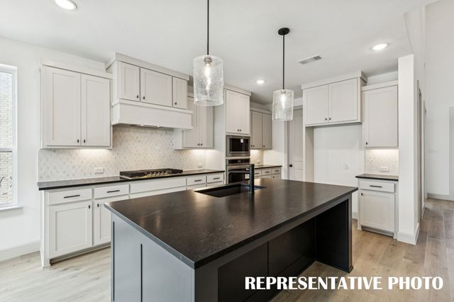 4180 Rosita Lane, Prosper, TX 75078