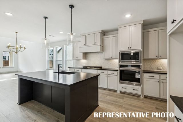 4180 Rosita Lane, Prosper, TX 75078