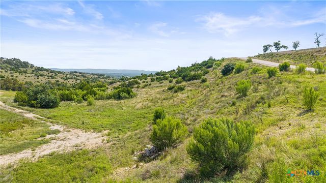 Lot 119 Falling Oak Drive, Blanco, TX 78606