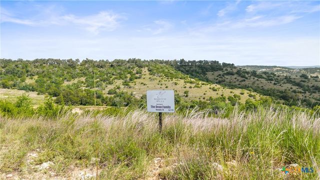 Lot 119 Falling Oak Drive, Blanco, TX 78606