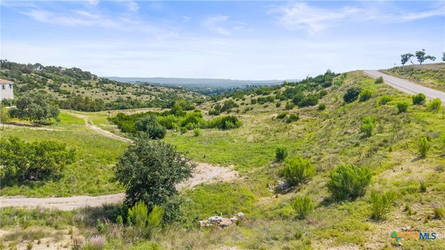 Lot 119 Falling Oak Drive, Blanco, TX 78606
