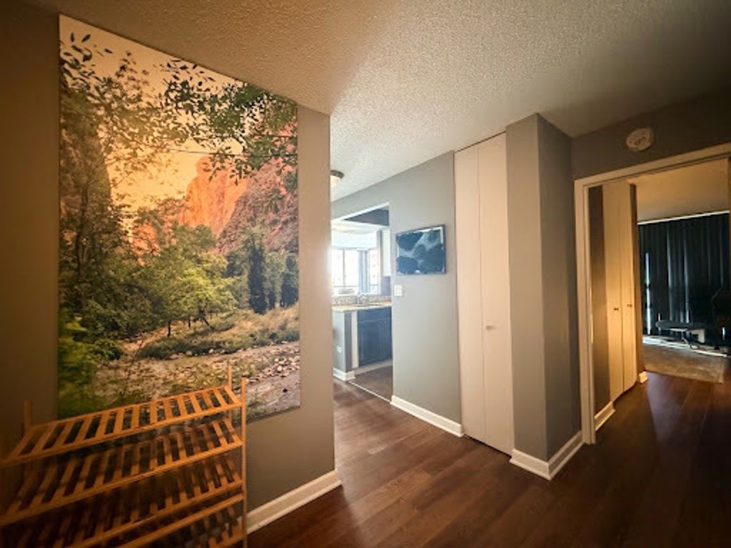 10 E Ontario Street 1111, Chicago, IL 60611 — photo 3