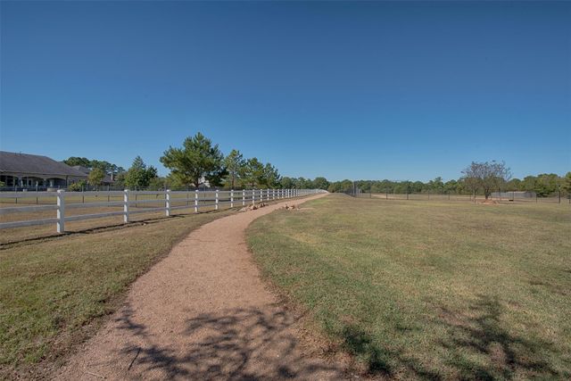 11690 Renaissance Drive, Montgomery, TX 77356