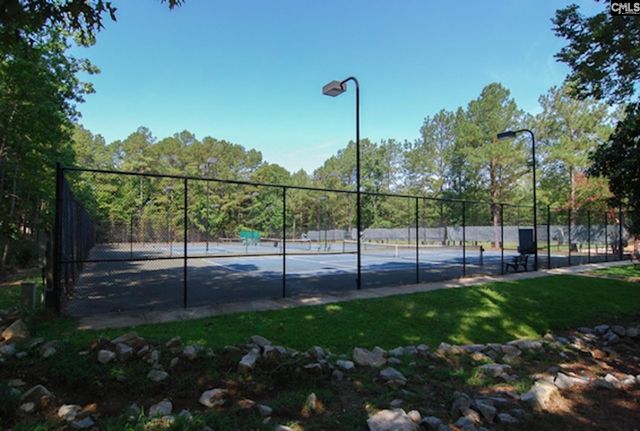 16 Wildhorse Court, Irmo, SC 29063