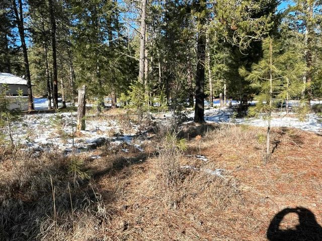102 SW Trappers Loop, Chewelah, WA 99109
