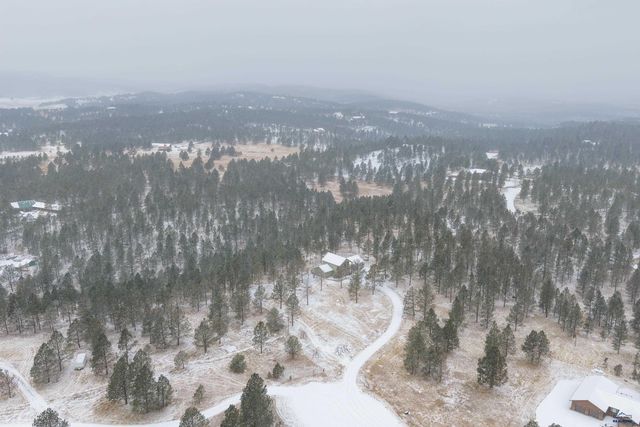 24705 TIMBER RIDGE RD, Hermosa, SD 57744