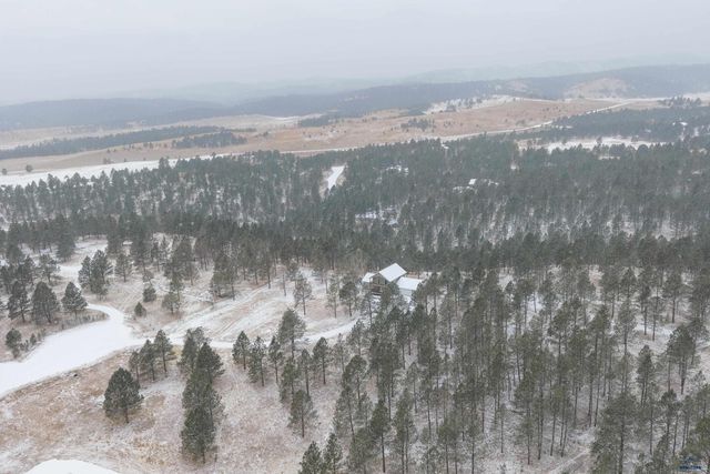 24705 TIMBER RIDGE RD, Hermosa, SD 57744