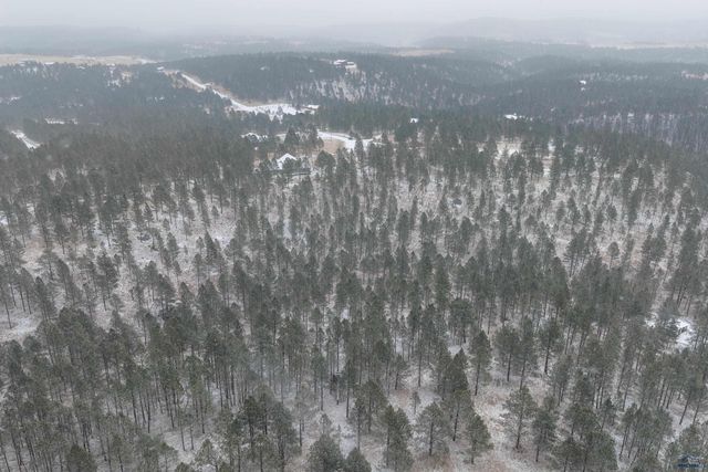 24705 TIMBER RIDGE RD, Hermosa, SD 57744