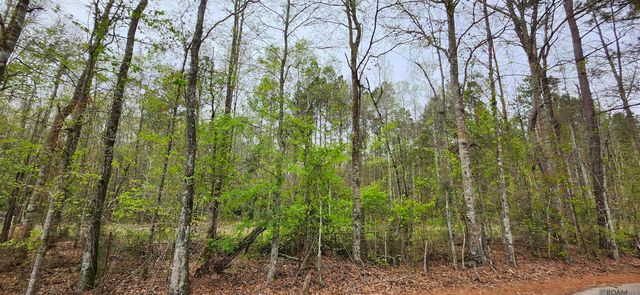 Lot A-1 Lod Stafford Rd, Walker, LA 70785