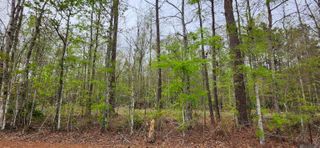 Lot A-1 Lod Stafford Rd, Walker, LA 70785