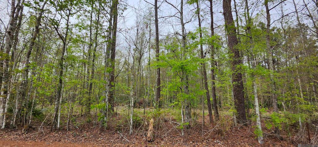 Lot A-1 Lod Stafford Rd, Walker, LA 70785
