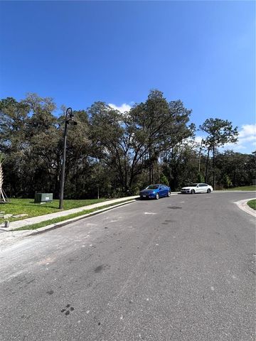 3010 CANARY AVENUE, Davenport, FL 33837
