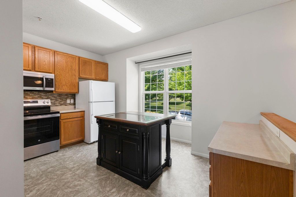 10015 Liatris Lane, Eden Prairie, MN 55347 — photo 5