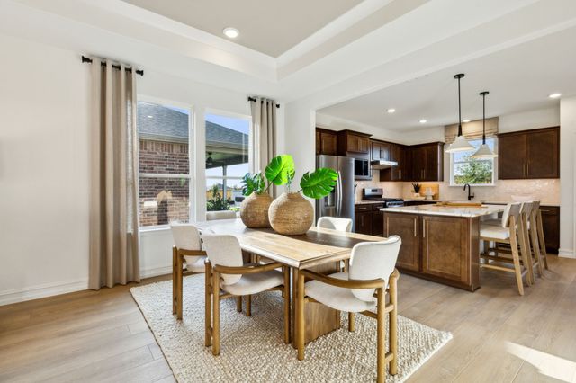 308 Snowbird Way, Mckinney, TX 75071