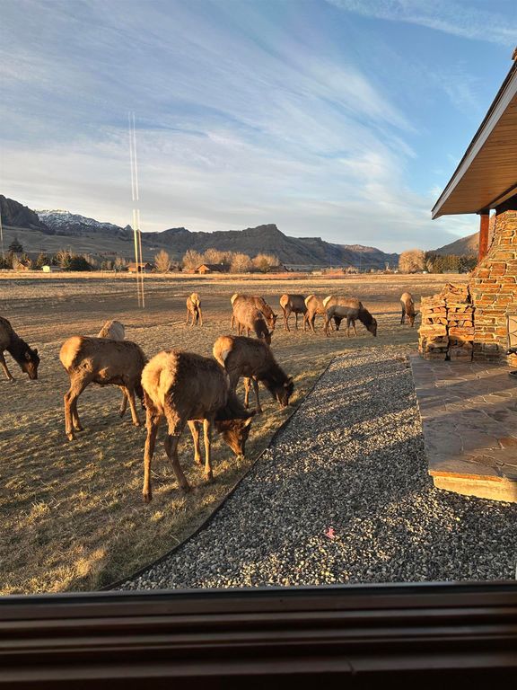 72 Big Creek Dr, Cody, WY 82414 photo 15
