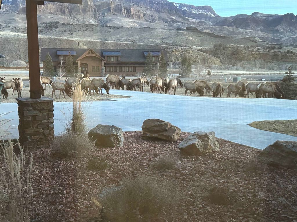 72 Big Creek Dr, Cody, WY 82414 photo 47