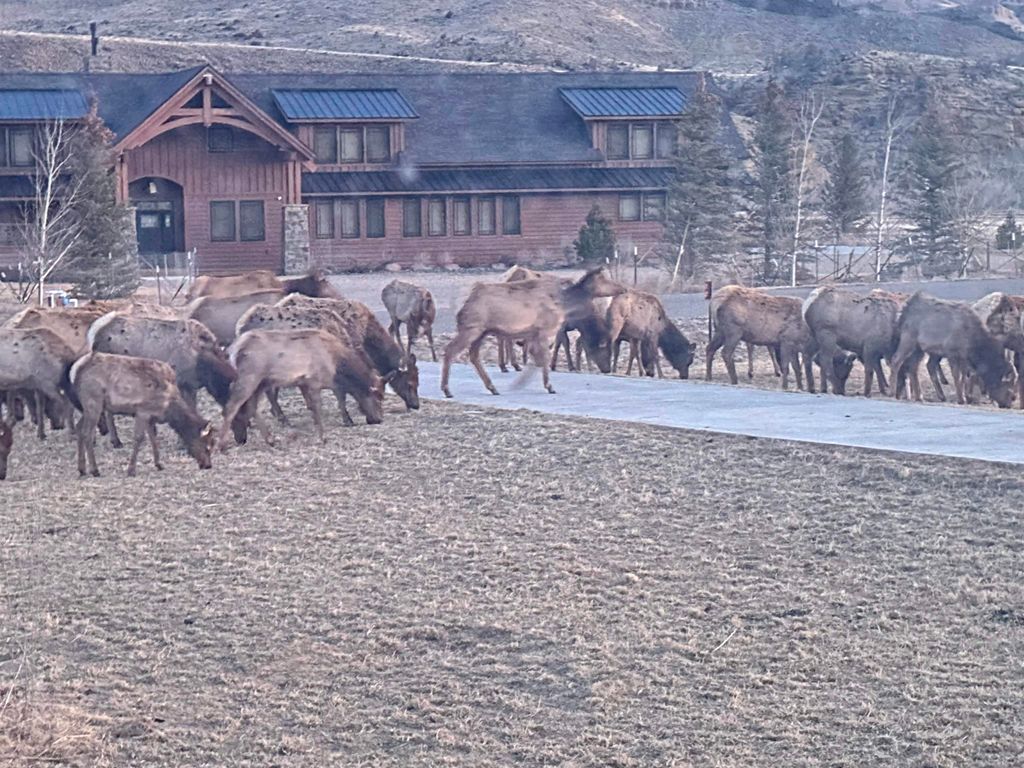 72 Big Creek Dr, Cody, WY 82414 photo 48