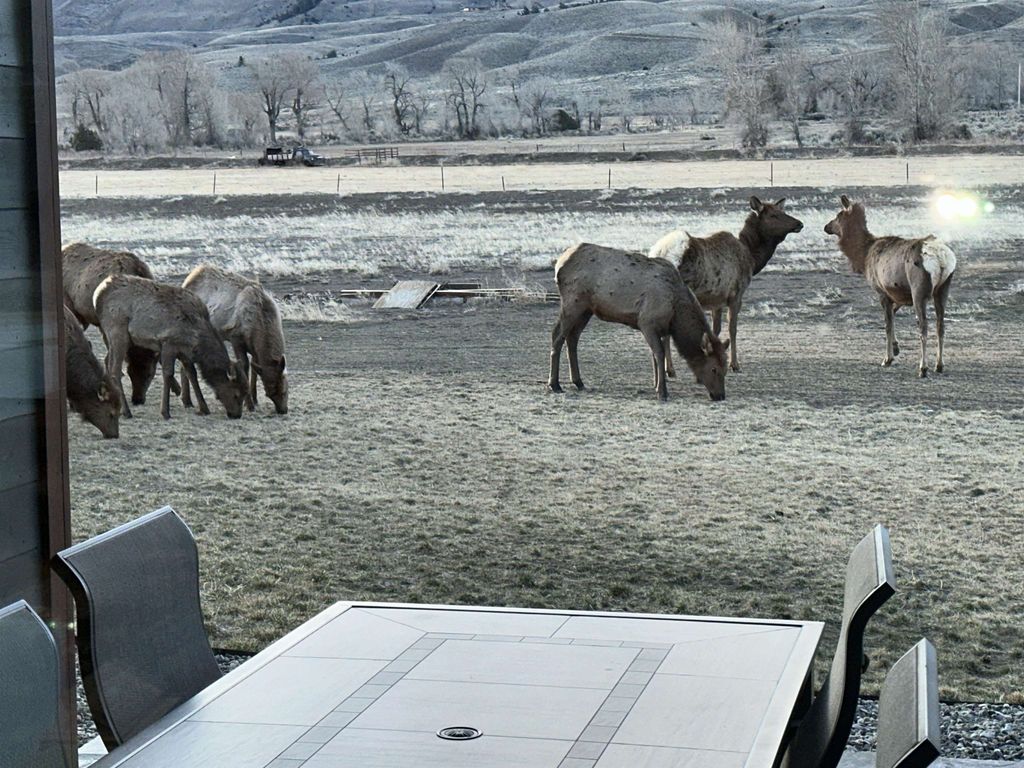 72 Big Creek Dr, Cody, WY 82414 photo 49