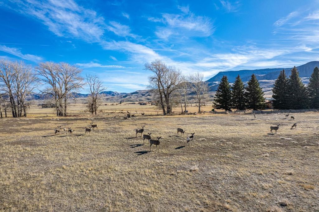 72 Big Creek Dr, Cody, WY 82414 photo 55