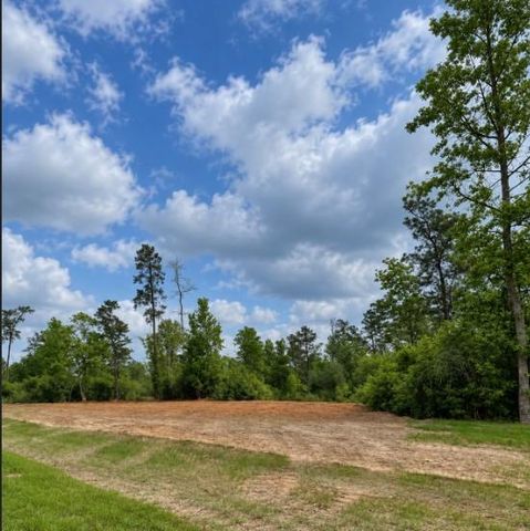 11544 Inspiration Drive, Willis, TX 77378