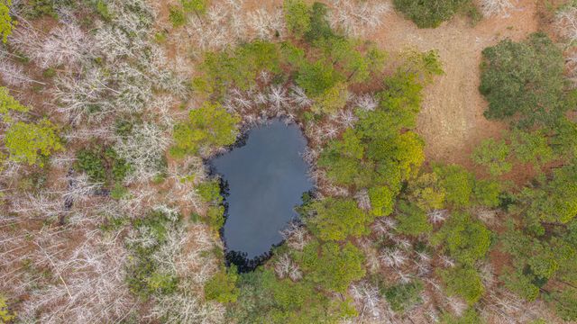 5553 Elliott Estates Road, Hollywood, SC 29449