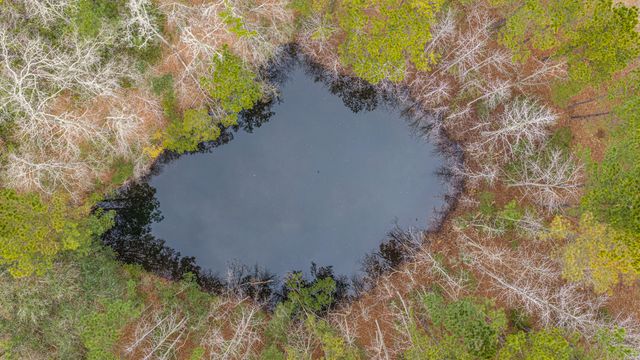 5553 Elliott Estates Road, Hollywood, SC 29449