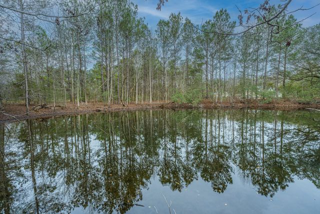 5553 Elliott Estates Road, Hollywood, SC 29449