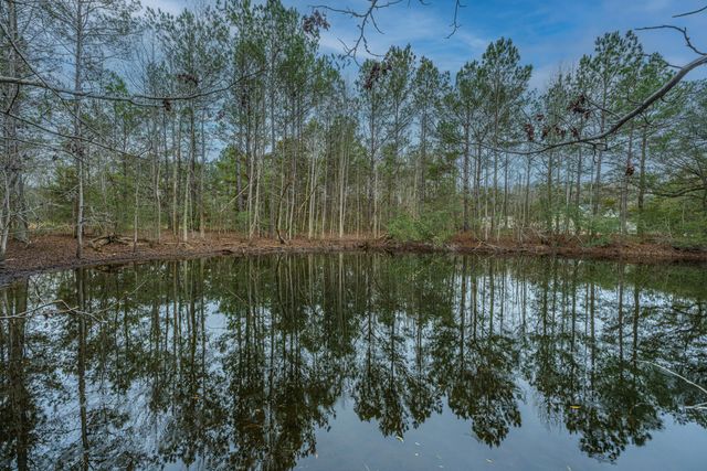 5553 Elliott Estates Road, Hollywood, SC 29449