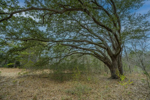 5553 Elliott Estates Road, Hollywood, SC 29449