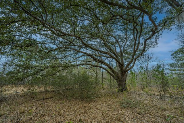 5553 Elliott Estates Road, Hollywood, SC 29449