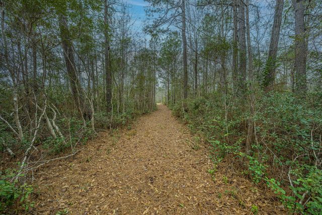 5553 Elliott Estates Road, Hollywood, SC 29449