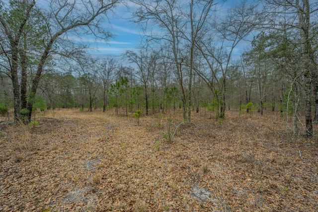 5553 Elliott Estates Road, Hollywood, SC 29449