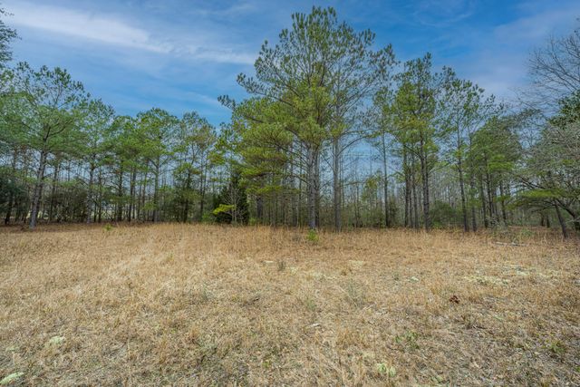 5553 Elliott Estates Road, Hollywood, SC 29449