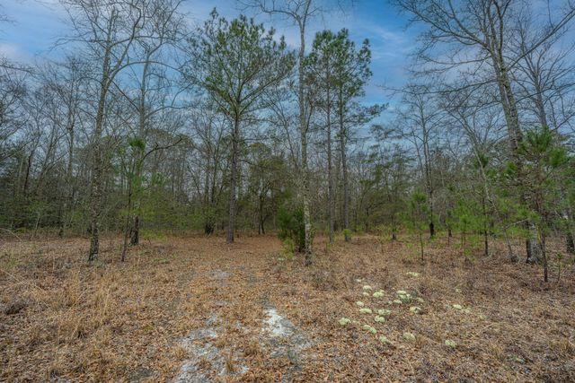 5553 Elliott Estates Road, Hollywood, SC 29449