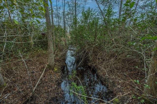 5553 Elliott Estates Road, Hollywood, SC 29449