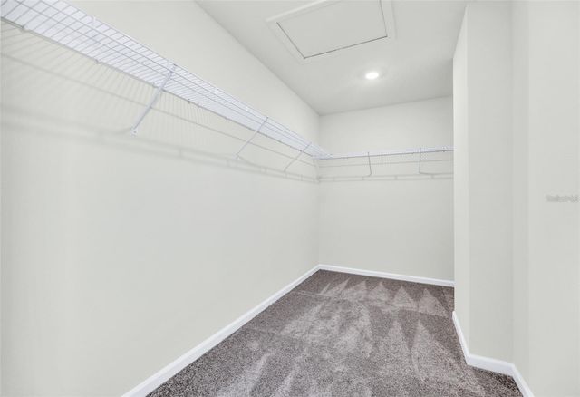 88 WAVERLY LANE, Palm Coast, FL 32164