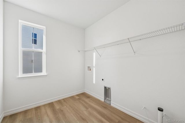 6126 Oban Road, Timnath, CO 80547