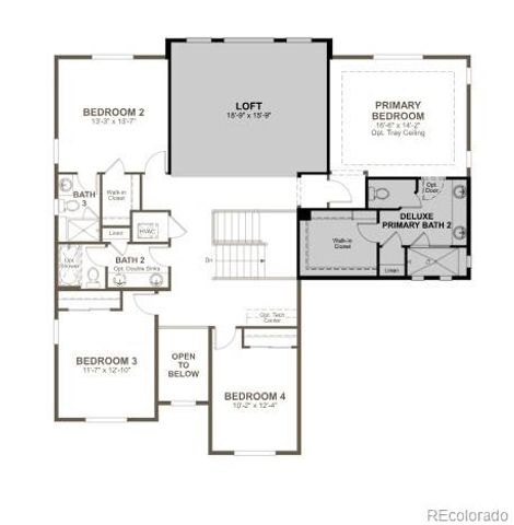 6126 Oban Road, Timnath, CO 80547