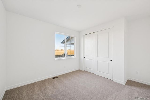 6126 Oban Road, Timnath, CO 80547