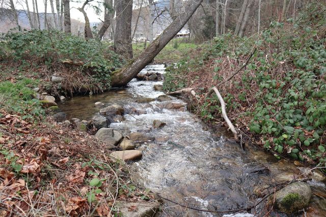 165 Neil Creek Road, Ashland, OR 97520