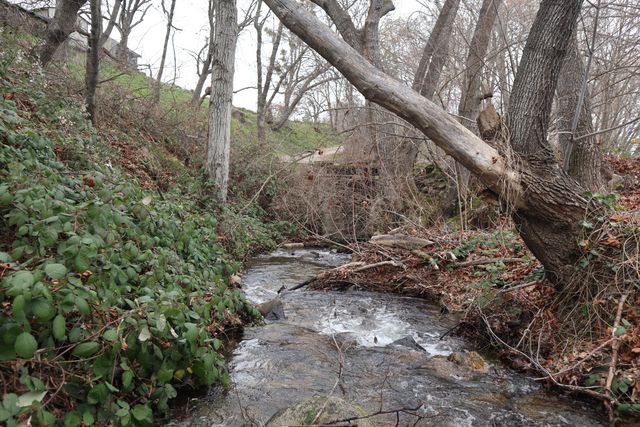 165 Neil Creek Road, Ashland, OR 97520