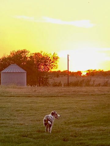 144 County Road 151, Riesel, TX 76682