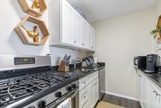 9 Hawthorne Place 10P, Boston, MA 02114